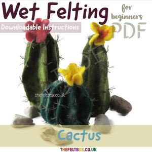 Instructions PDF Fabriquez votre propre cactus. Niveau débutant en feutrage humide. Tutoriel de feutrage par The Felt Box. Feutre Cactus/Cactus Plant