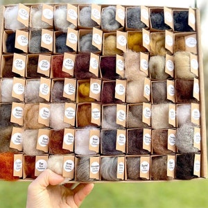 Carded Needle Felting Wool Animal Colours Palette The Felt Box® 56 pc