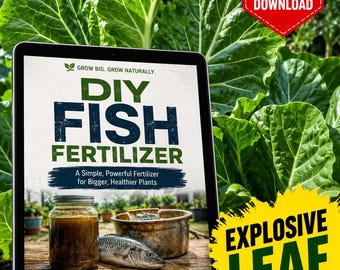 DIY Zero Waste Dünger Anleitung | Bio Fisch Aminosäure (FAA), Homemade Natural Farming Tutorial