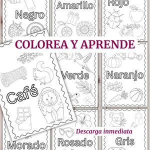 Puede incluir: Una colección de páginas educativas para colorear con ilustraciones en blanco y negro de diversos objetos y animales, etiquetadas con los nombres de colores en español Negro, Amarillo, Rojo, Café, Verde, Naranjo, Morado, Rosado y Gris.