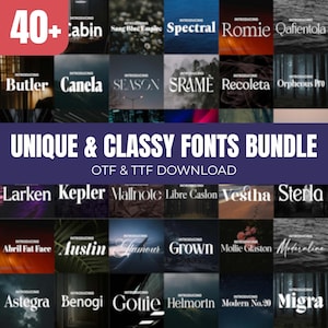 Unique Classy Fonts Bundle 40+ Modern Retro Fonts OTF TTF Download Stylish Fonts for Logos Branding Cricut Design