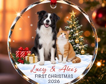 Personalized Pet Christmas Ornament 2026, Gift For Dog And Cat Lovers, First Christmas 2026 Glass Keepsake