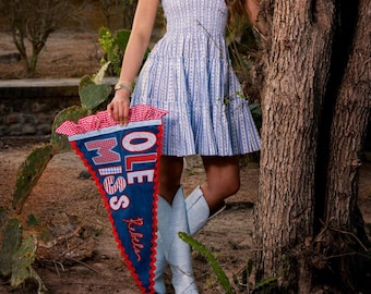 Custom college pennant felt flag
