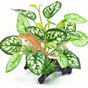 May include: A bearded dragon lizard sits on a decorative plant arrangement. The plant has large green leaves with white speckles and is mounted on a dark brown, wooden-like base. The lizard is tan and orange.