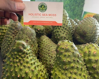 Fresh Organic Soursop Fruit – Nutrient-Rich & Exotic Superfruit (5LB Box)