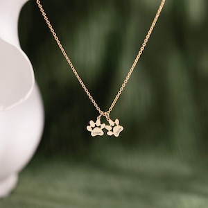 Può includere: Una collana color oro con due piccoli ciondoli a forma di impronta di zampa sospesi a una catenina sottile. Ogni ciondolo è inciso con un nome, quello a sinistra riporta il nome Chloe e quello a destra il nome Olivia in caratteri neri.