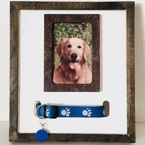 dog collar keepsake frame