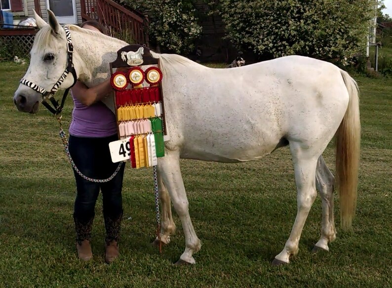 Award Ribbon Rack Jumping Horse Show Ribbon Holder Rack For Etsy
