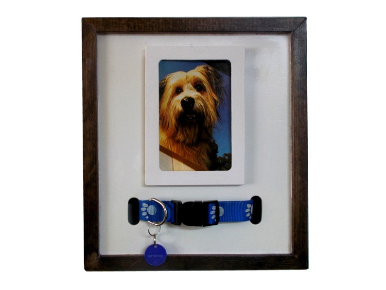 Dog Collar Photo Frame PetsWall