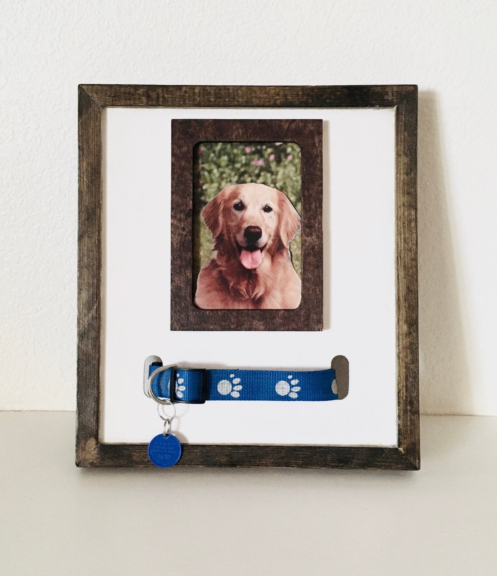 Frame for Dog or Cat Collar and Photo Memorial Gift Keepsake Etsy