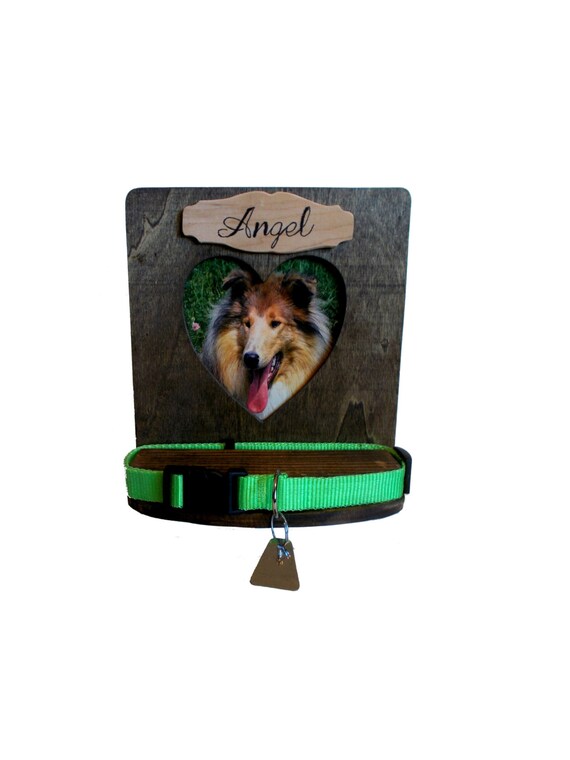 Pet Loss Memorial Frame Dog Or Cat Collar Display Frame Etsy