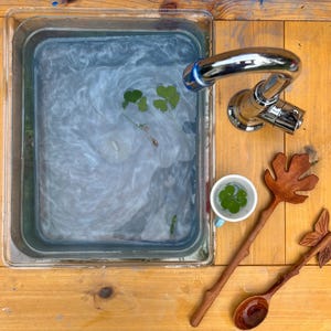 K&ouml;nnte beinhalten: Ein rechteckiges Metallbecken gef&uuml;llt mit tr&uuml;bem Wasser, mit einem Chromwasserhahn, einer kleinen wei&szlig;en Tasse mit einem gr&uuml;nen Kleeblatt und drei geschnitzten Holzl&ouml;ffeln in Herz-, Ahornblatt- und Schmetterlingsform auf einer Holzoberfl&auml;che.