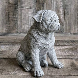 May include: A gray pug dog statue in a sitting position. The statue has detailed features, including wrinkles and folds, and is made of a textured material. The dog is positioned on a wooden surface with a wooden backdrop.
