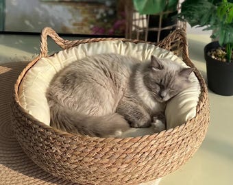 Cozy Woven Cat Bed with Cream Cushion for Stylish Comfort in Your Home