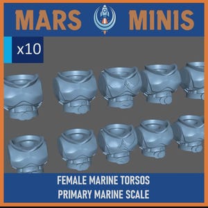 May include: Ten grey plastic female marine torsos. The image includes the text "MARS MINIS" and "x10". The bottom of the image reads "FEMALE MARINE TORSOS PRIMARY MARINE SCALE".
