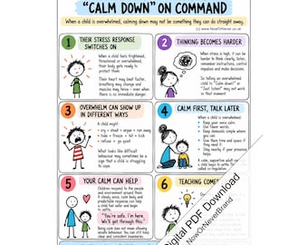 Child Overwhelm Co Regulation Poster Printable PDF, Calm Down First Connect Later Guide for Parents Carers Professionals, Digital Download