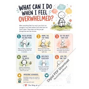Op de afbeelding: Een educatieve poster getiteld What Can I Do When I Feel Overwhelmed? met een stripfiguur en zes genummerde stappen voor stressbeheersing. De infographic bevat illustraties, tekstinstructies en een sectie voor belangrijke herinneringen.