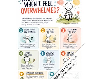 Overwhelm Coping Skills Poster Printable PDF, Emotional Regulation Guide, Calm Down Support, Digital Download