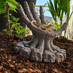 May include: A grey, skeletal hand-shaped sculpture resting on a rocky base, featuring a small, light brown crested gecko perched on the palm. The sculpture has a textured, matte finish and is positioned upright, mimicking an open hand gesture.