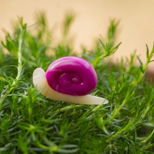 Miniature Fairy Garden Snail Round Swirled Shell- Custom Made