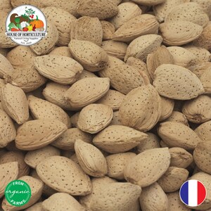 May include: A close-up of a pile of raw almonds in their shells. The almonds are a light tan colour with textured surfaces. The image includes a logo with text "House of Horticulture" and "Natural Living Supplies". A green sticker says "From organic farms".