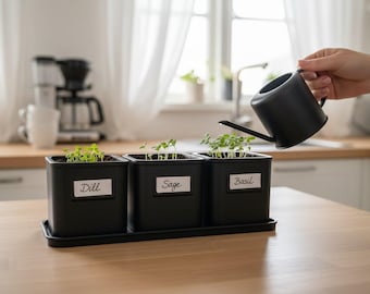 Herb pot set with saucer, self-watering plant pot, 3D printed, for kitchen or balcony, also suitable as a gift