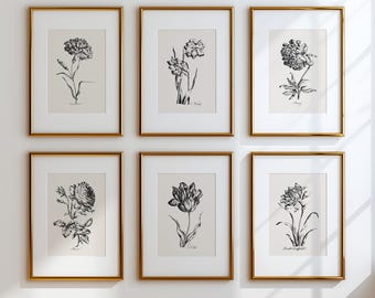 Vintage Botanical Floral Print Collection – Elegant Nature Wall Art
