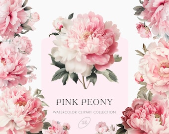 Peony Flowers PNG Clipart – Soft Pink Floral Elements