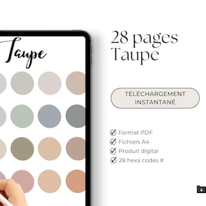 Taupe kleurenpalet met hexadecimale code