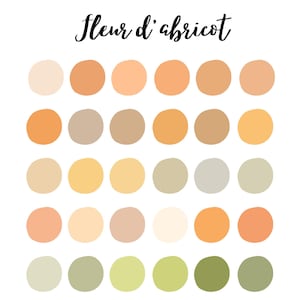 Peut inclure: Une palette de 30 pastilles de couleurs circulaires dans des tons pêche, orange, beige et vert, disposées en grille. Les mots "Fleur d'abricot" sont écrits en cursive en haut. Le fond est blanc.
