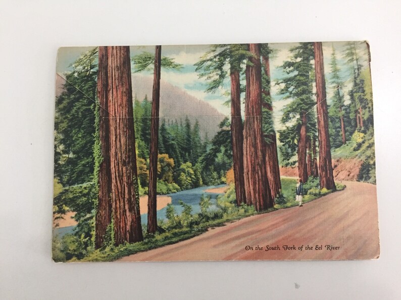 Vintage Old 1940s Redwood Highway California Souvenir Postcard Folder Booklet Fold-Out Postcards Accordion Style Card Redwood Trees Forest