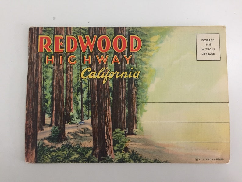 Vintage Old 1940s Redwood Highway California Souvenir Postcard Folder Booklet Fold-Out Postcards Accordion Style Card Redwood Trees Forest