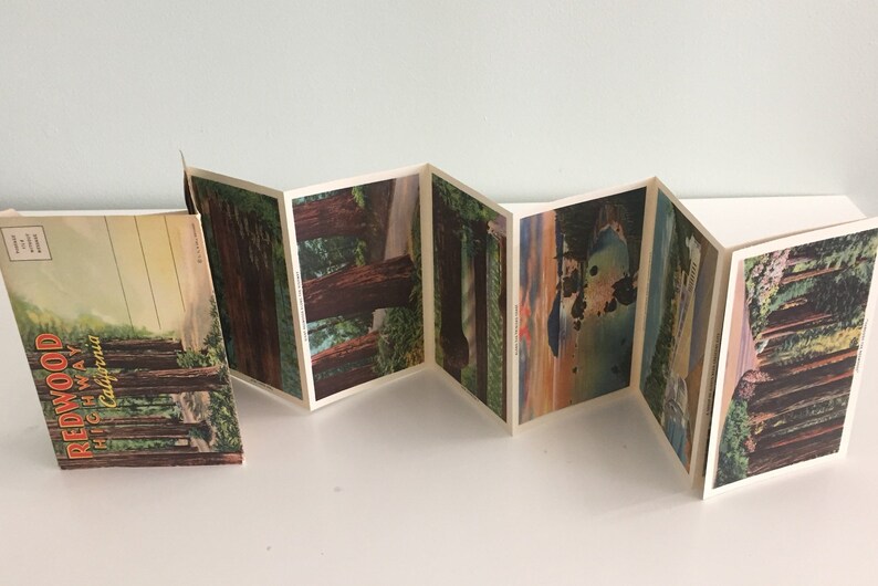 Vintage Old 1940s Redwood Highway California Souvenir Postcard Folder Booklet Fold-Out Postcards Accordion Style Card Redwood Trees Forest