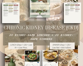 Chronic Kidney Disease Diet Guide and 40 Renal Safe Recipes Low Potassium Phosphorus Sodium Meal Plan for CKD Stage 3 and 4 PDF