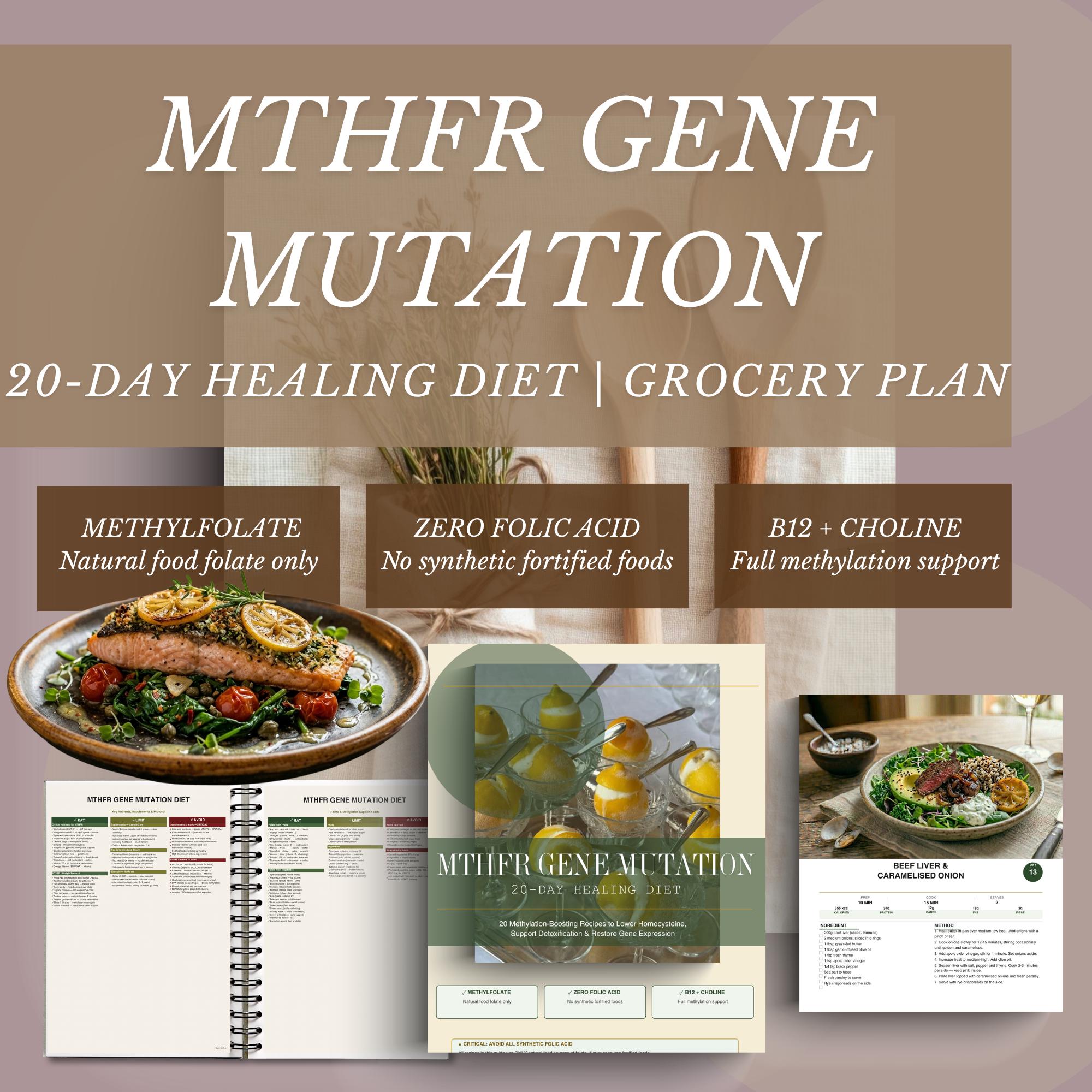 MTHFR Gen Mutation Diet Plan, 20-Tage-Heilrezepte, Unterstützung bei Metylierung (PDF)