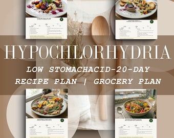 Hypochlorhydria Diet Guide: 20-Day Recipe Plan, Low Stomach Acid Support (PDF)