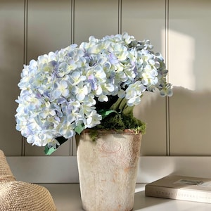 Giant Powder Blue Faux Hydrangeas In Aged Terracotta Pot.
