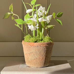 Medium Aged Terracotta Pot Filled With Faux Snowdrops & Foliage.