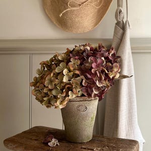 Large Faux Dried Style Daphne Hydrangeas & Aged Terracotta Pot Arrangement
