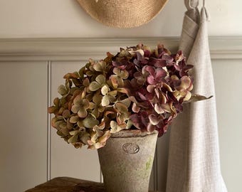 May include: A bouquet of dried hydrangea flowers in shades of deep burgundy, muted green, and brown, arranged in a weathered, cylindrical terracotta pot with a circular embossed stamp on the front, resting on a rustic wooden stool.
