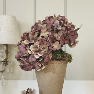 May include: A terracotta pot filled with dried, burgundy and beige hydrangeas. The pot sits on a stack of books with the title "Sunday Suppers". A small, loose flower head rests on the book. A lamp and wall panelling are in the background.