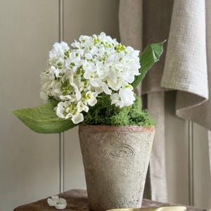 May include: A white hydrangea arrangement in a weathered terracotta pot. The pot has a faded, aged appearance and sits on a rustic wooden stool. The arrangement includes green foliage and accents. A gold trowel is nearby.