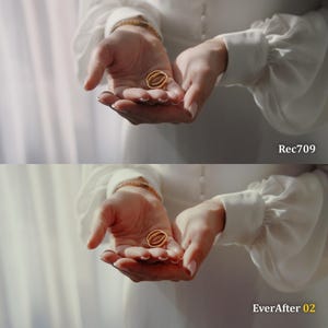 May include: Two gold wedding rings rest in open hands, with a white dress and bracelet visible. The image has the text "Rec709" and "EverAfter 02" in the bottom right corner.