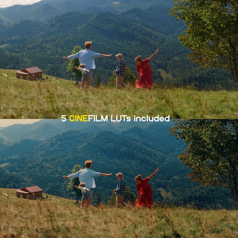 May include: An outdoor scene with a family of five on a grassy hill, arms outstretched. A cabin and mountains are in the background. The image includes the text "5 CINEFILM LUTs included". The family members are dressed in casual attire.