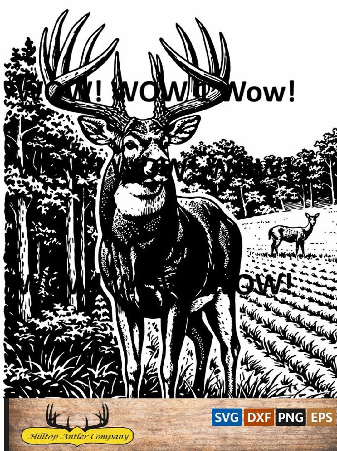 Whitetail Buck in Field SVG, Rustic Hunting Laser Engraving File ...