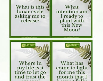 Daily Intuition Oracle Cards | Affirmations, Prompts (Digital Download)