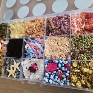 May include: A clear plastic organizer box with fifteen compartments filled with various craft supplies, including dried flower petals, small starfish, colorful shredded paper, textured powders, seeds, grains, and small decorative beads.