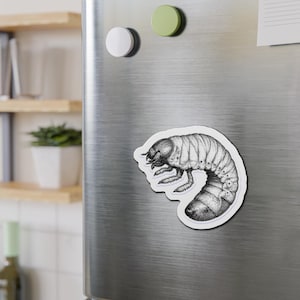Imán troquelado con ilustración de larva / Imán adhesivo con anatomía de insecto