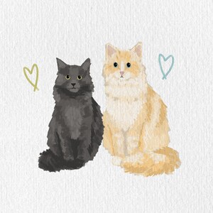 May include: Illustration of two fluffy cats, one black and one light orange, sitting side-by-side. The cats have yellow eyes and are positioned against a white background. Two hand-drawn hearts, one green and one blue, are next to the cats.