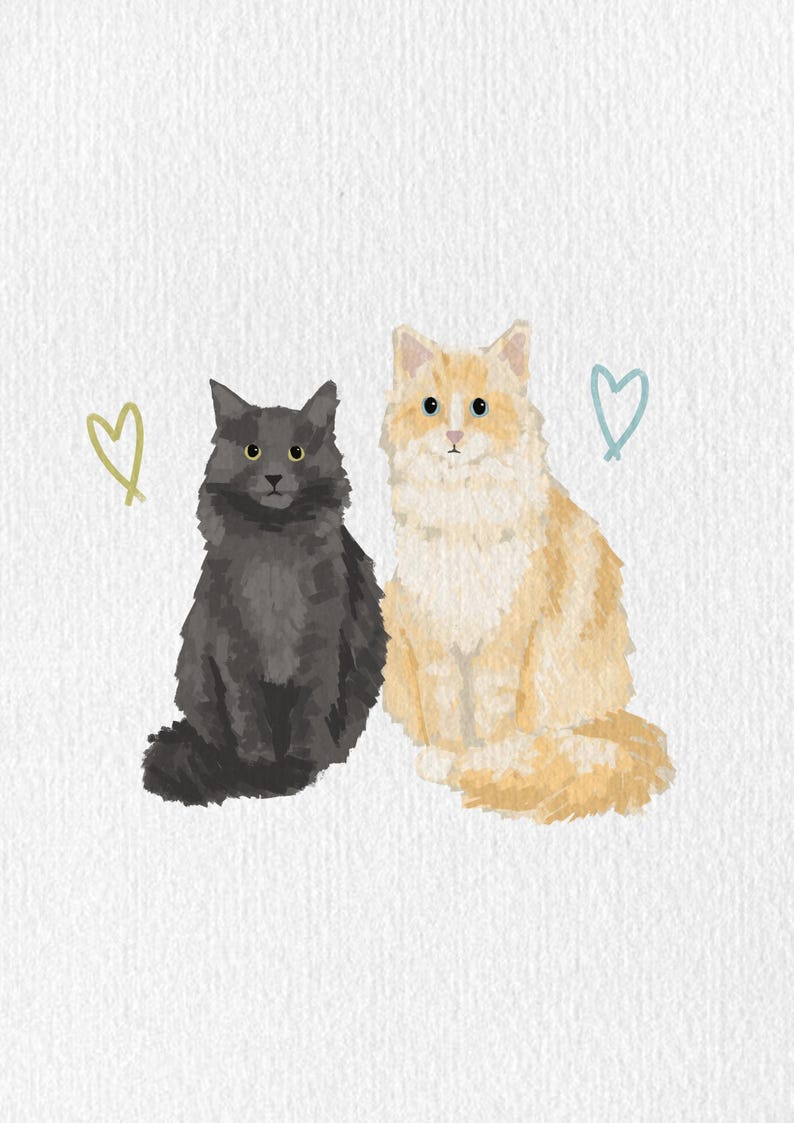 May include: Illustration of two fluffy cats, one black and one light orange, sitting side-by-side. The cats have yellow eyes and are positioned against a white background. Two hand-drawn hearts, one green and one blue, are next to the cats.